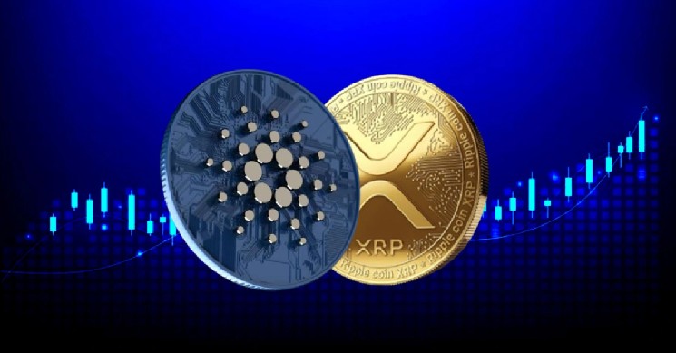 XRP vs Cardano