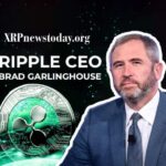 Ripple CEO
